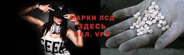 сатива Кинешма