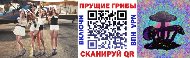 гидра сайт Спас-Клепики Галлюциногенные грибы мицелий